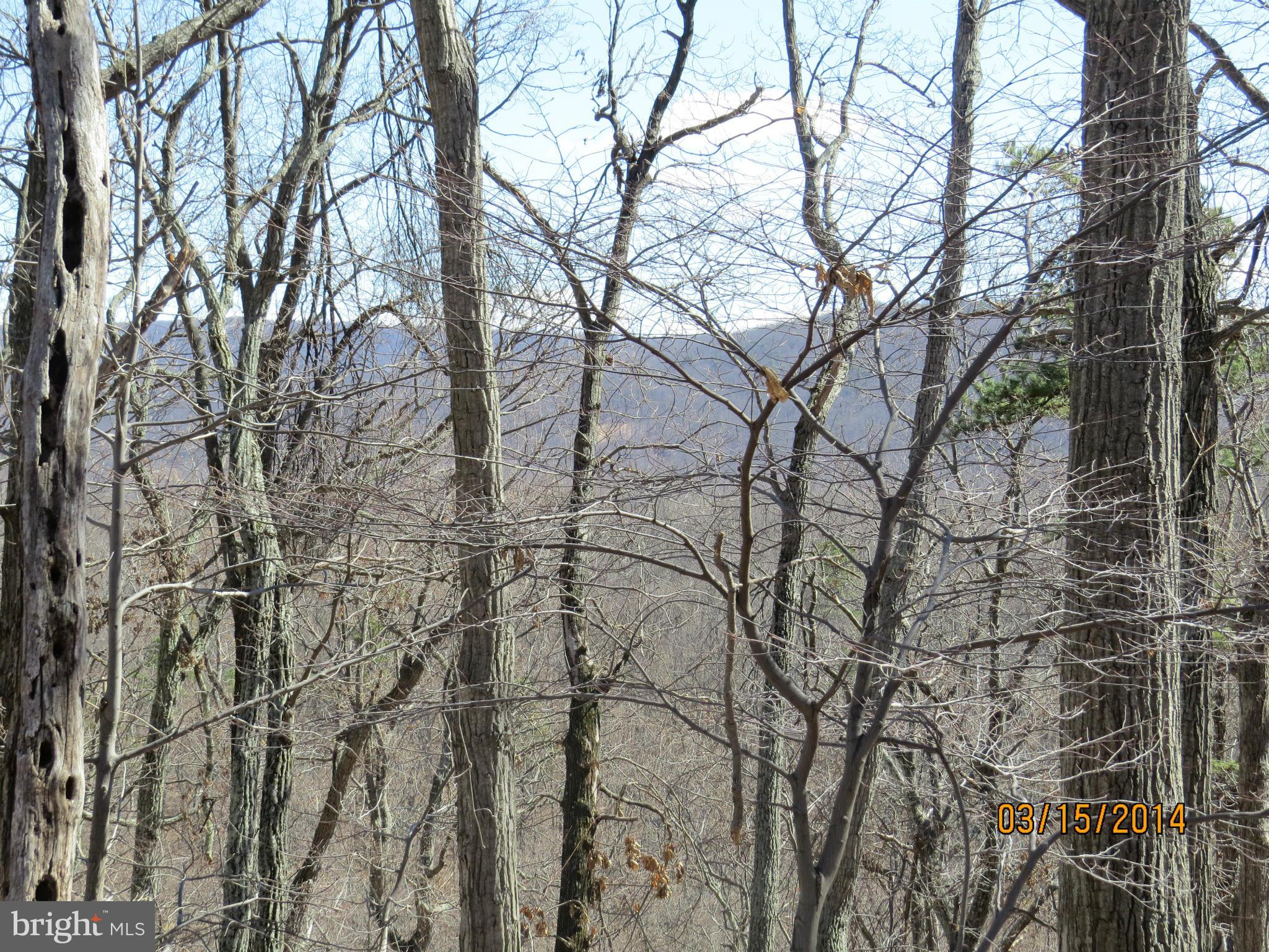 Feltner Road Bluemont, VA 20135 - Photo 2 of 8 Exterior (General)