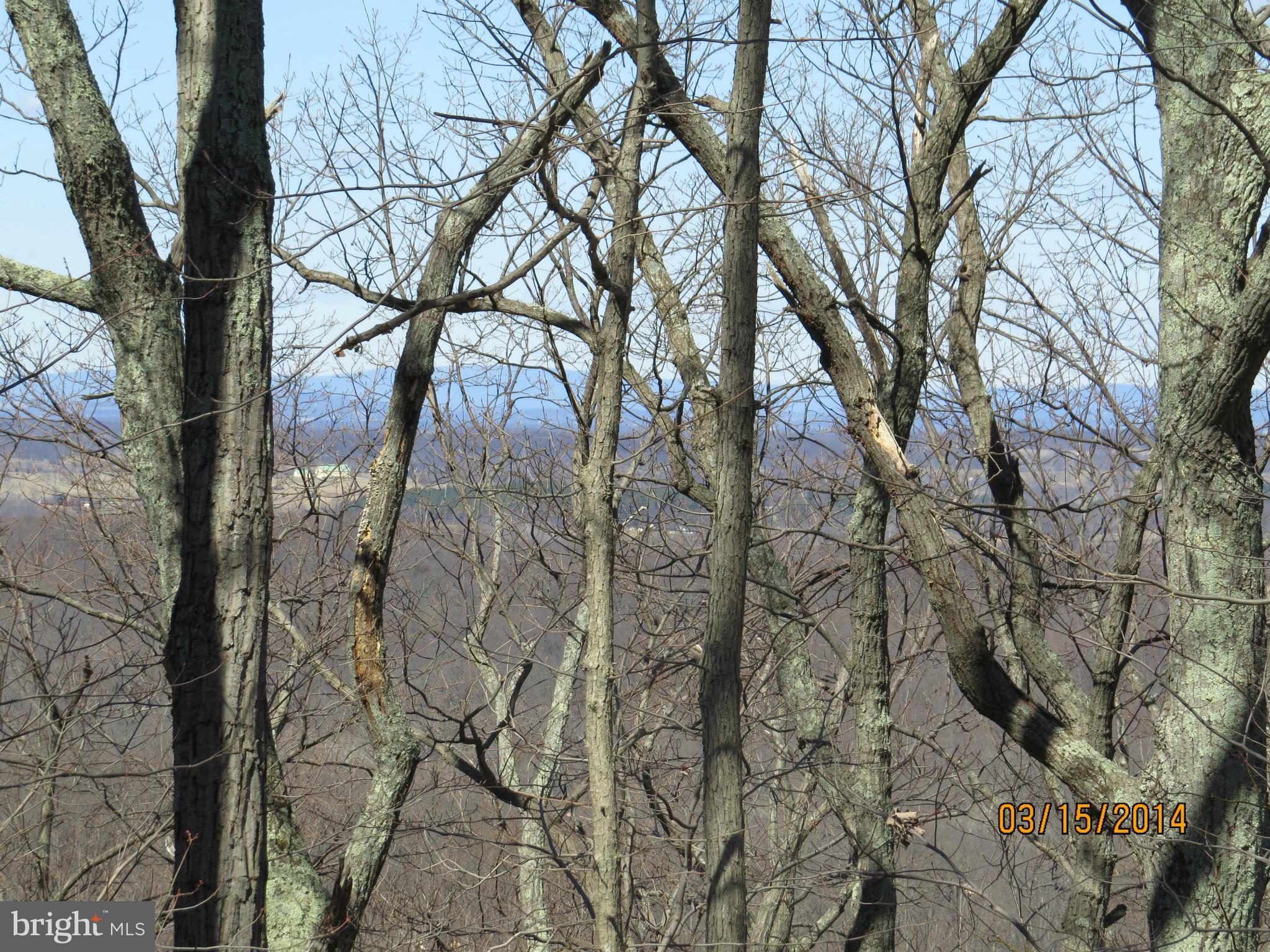 Feltner Road Bluemont, VA 20135 - Photo 3 of 8 Exterior (General)