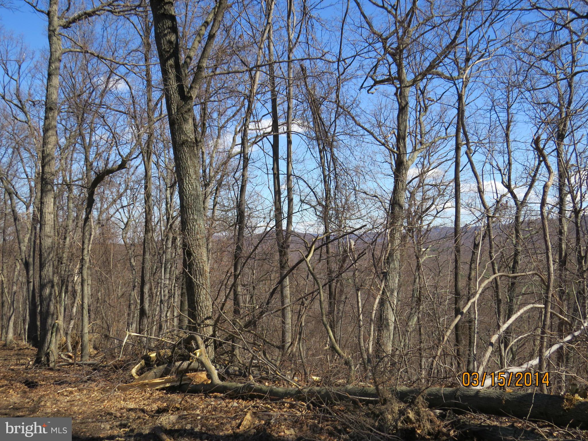 Feltner Road Bluemont, VA 20135 - Photo 4 of 8 Exterior (General)