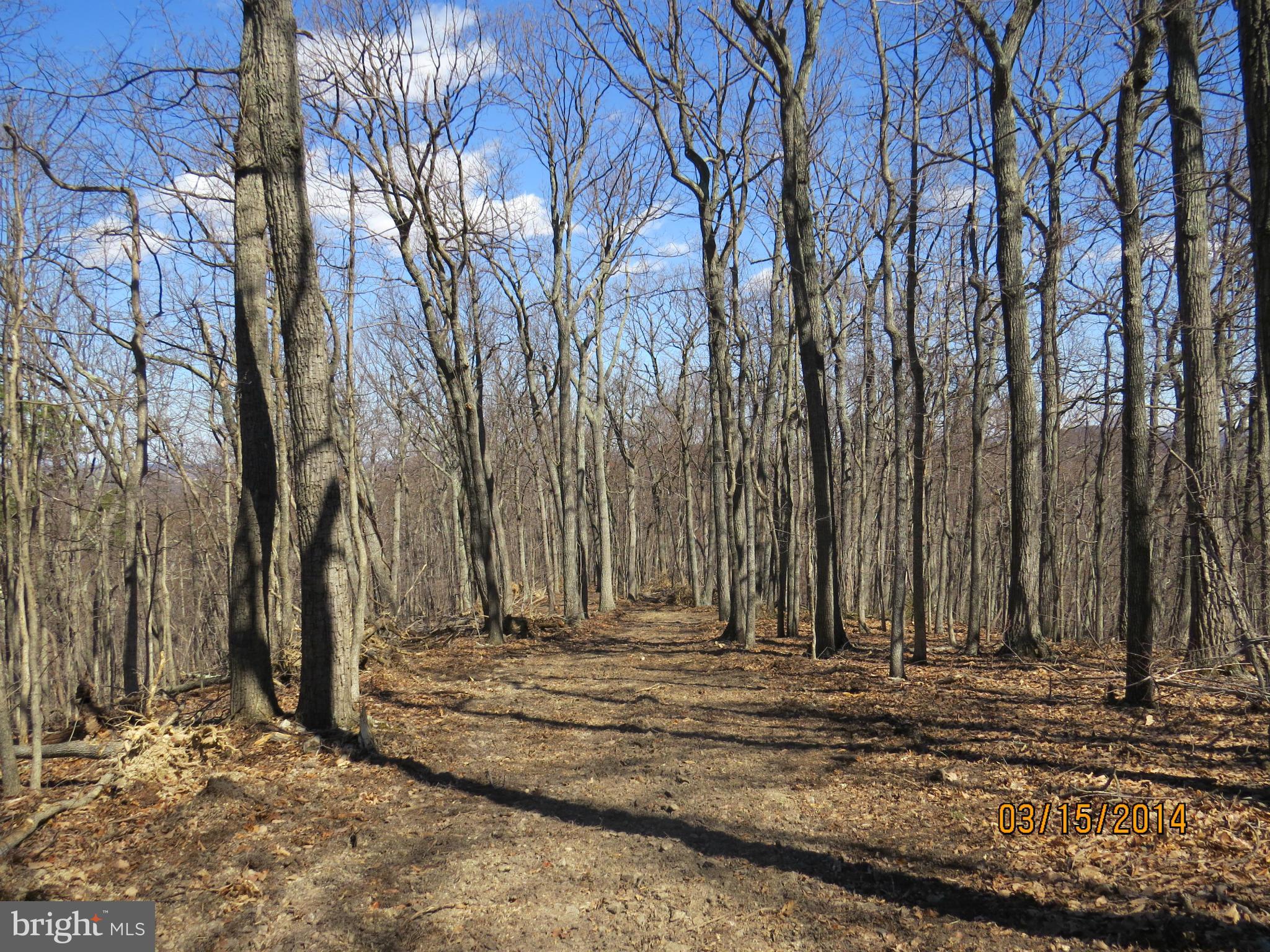 Feltner Road Bluemont, VA 20135 - Photo 5 of 8 Exterior (General)