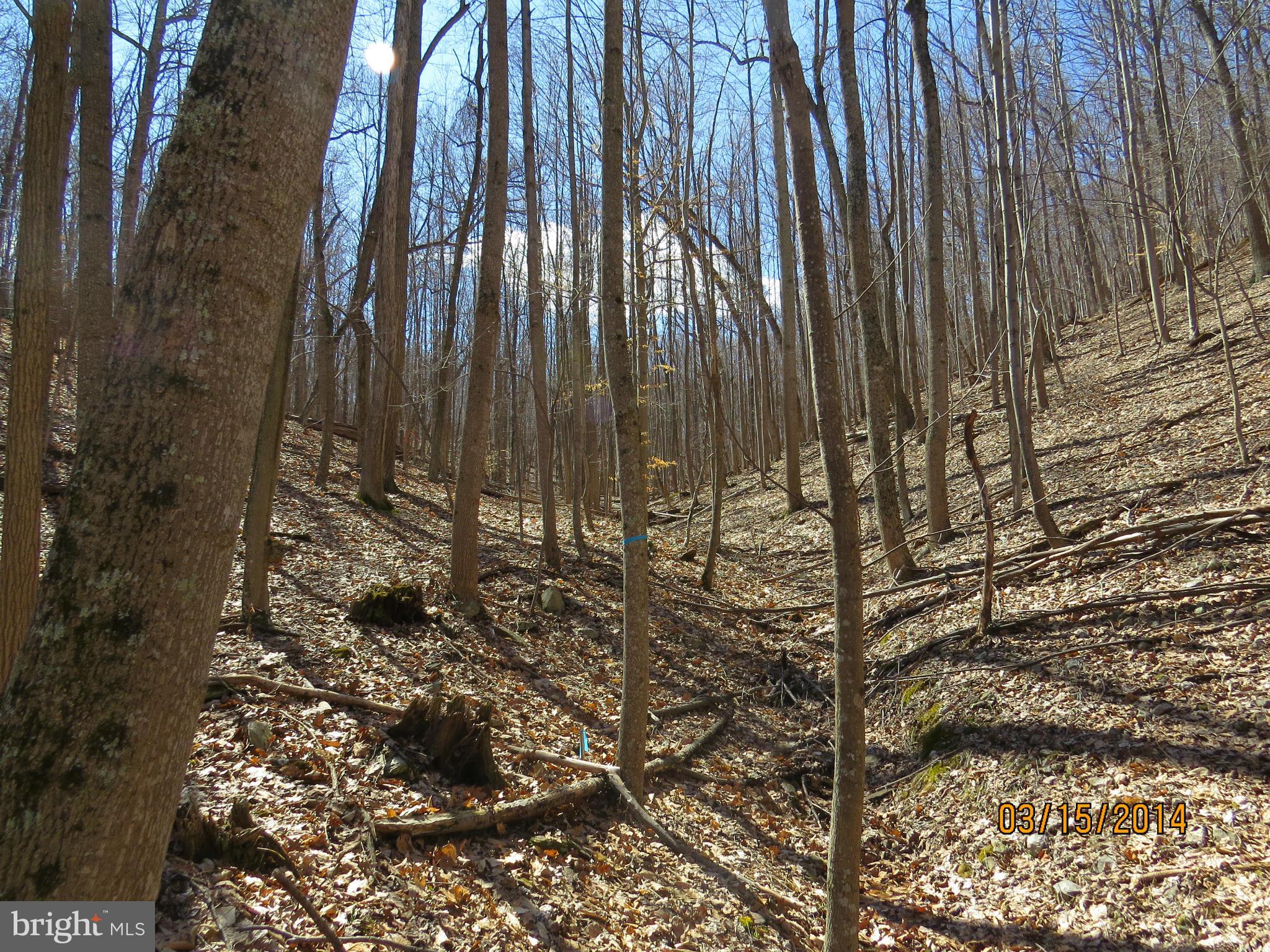 Feltner Road Bluemont, VA 20135 - Photo 8 of 8 Exterior (General)