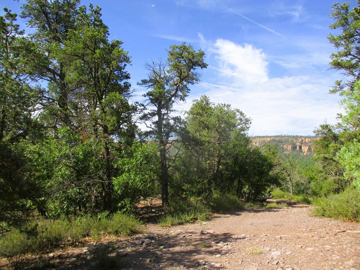 5-6 Black Bear Road Ramah, NM 87321 - Photo 27 of 64 Gallery Image 27