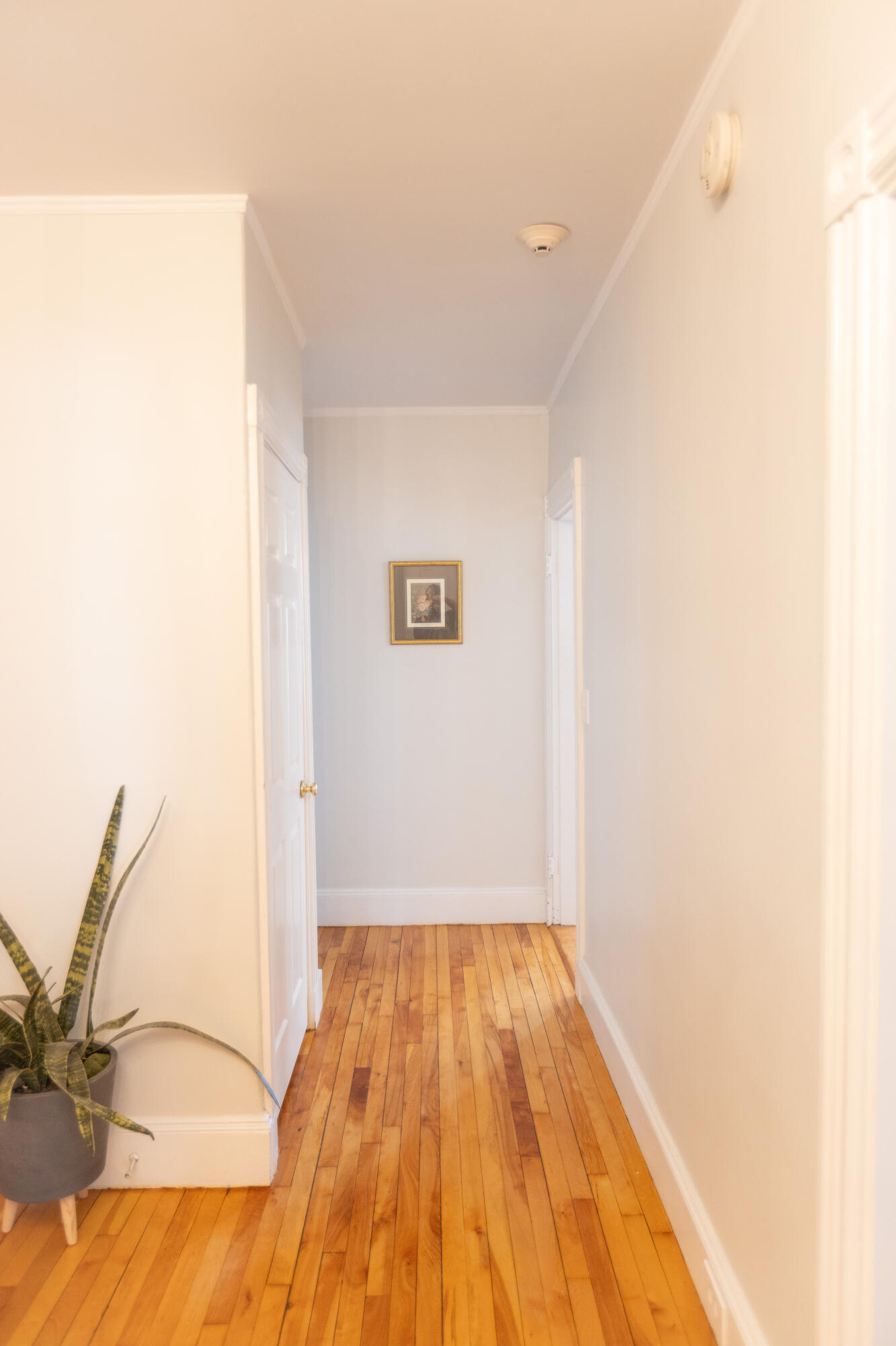 32 State Street, Unit 1 Portland, ME 04101 - Photo 32 of 34 2Y8A8170