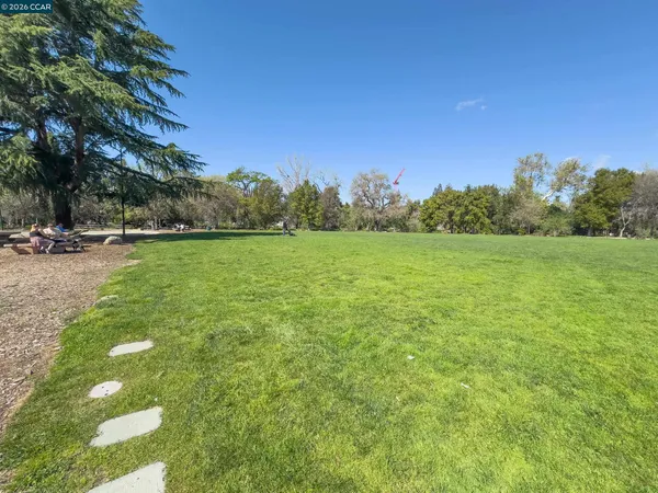 a view of a field with an trees