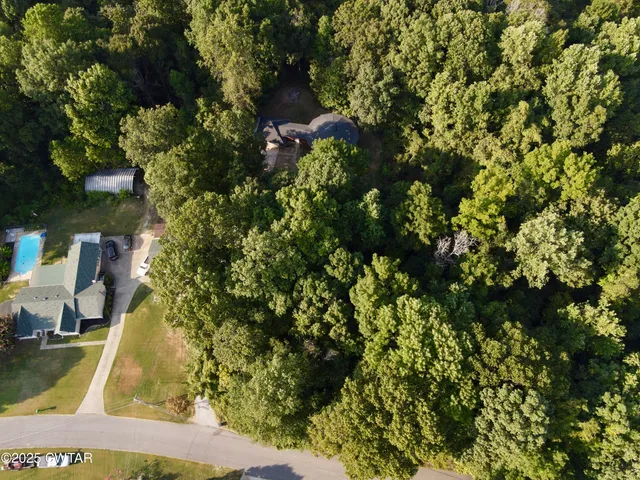 a view of a yard with plants