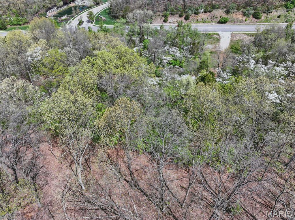 16404 Clayton Road Wildwood, MO 63011 - Photo 11 of 15