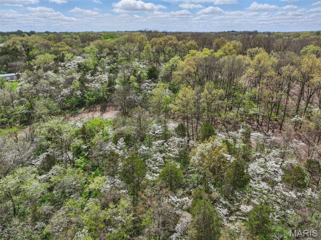 16404 Clayton Road Wildwood, MO 63011 - Photo 12 of 15