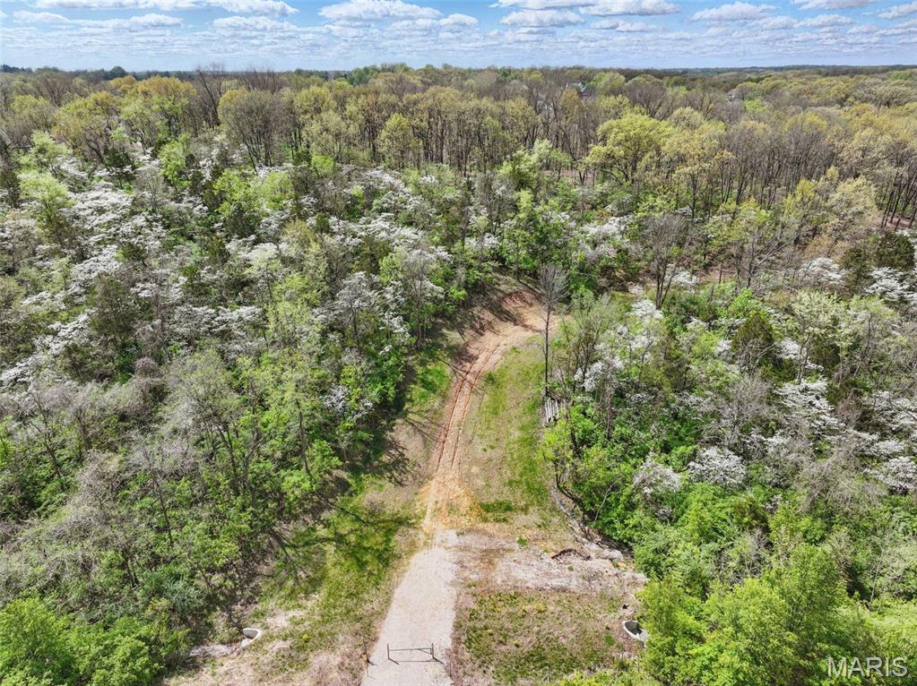 16404 Clayton Road Wildwood, MO 63011 - Photo 3 of 15