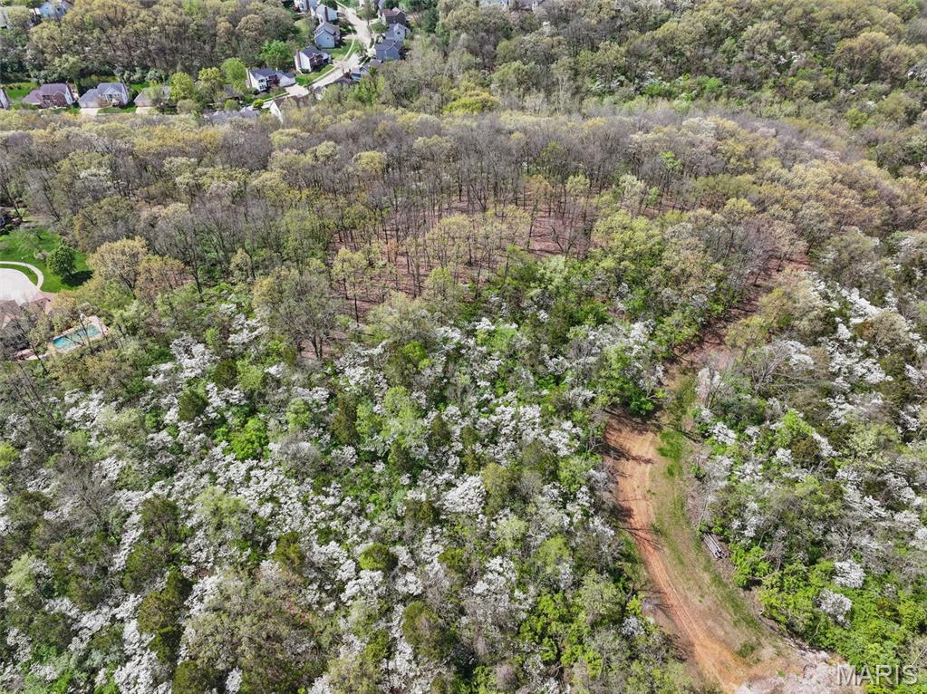 16404 Clayton Road Wildwood, MO 63011 - Photo 4 of 15