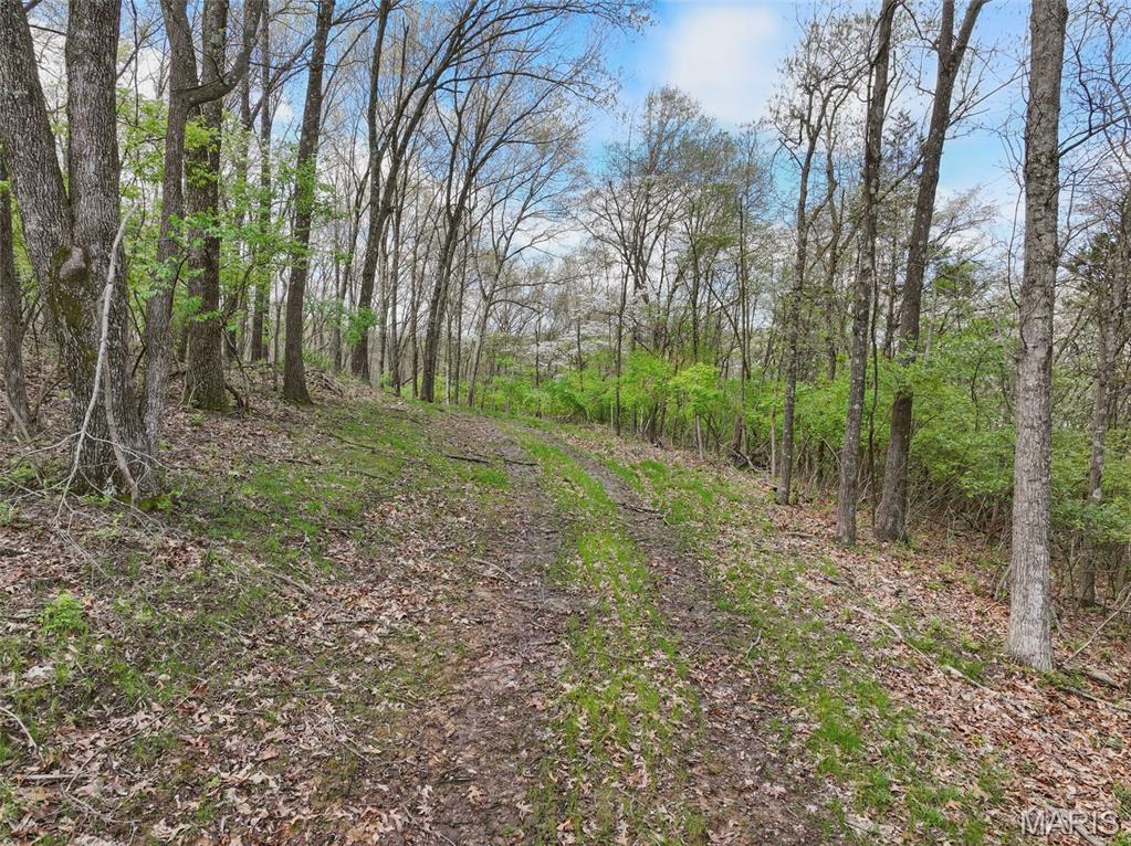 16404 Clayton Road Wildwood, MO 63011 - Photo 5 of 15