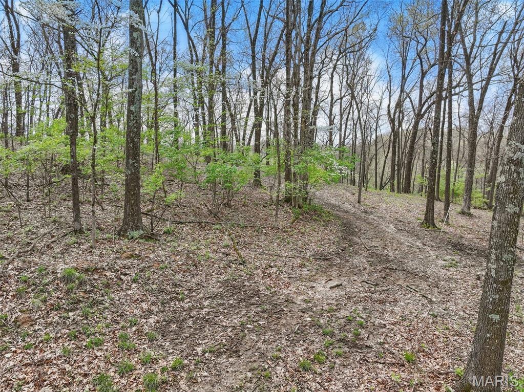 16404 Clayton Road Wildwood, MO 63011 - Photo 6 of 15