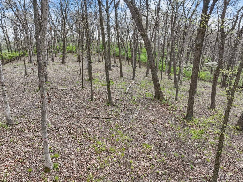 16404 Clayton Road Wildwood, MO 63011 - Photo 7 of 15