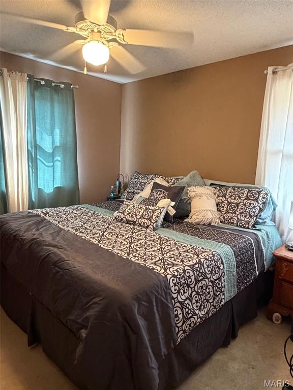 1303 Knob Lick Road Farmington, MO 63640 - Photo 4 of 16