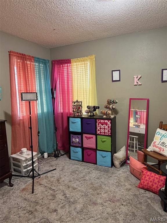 1303 Knob Lick Road Farmington, MO 63640 - Photo 9 of 16