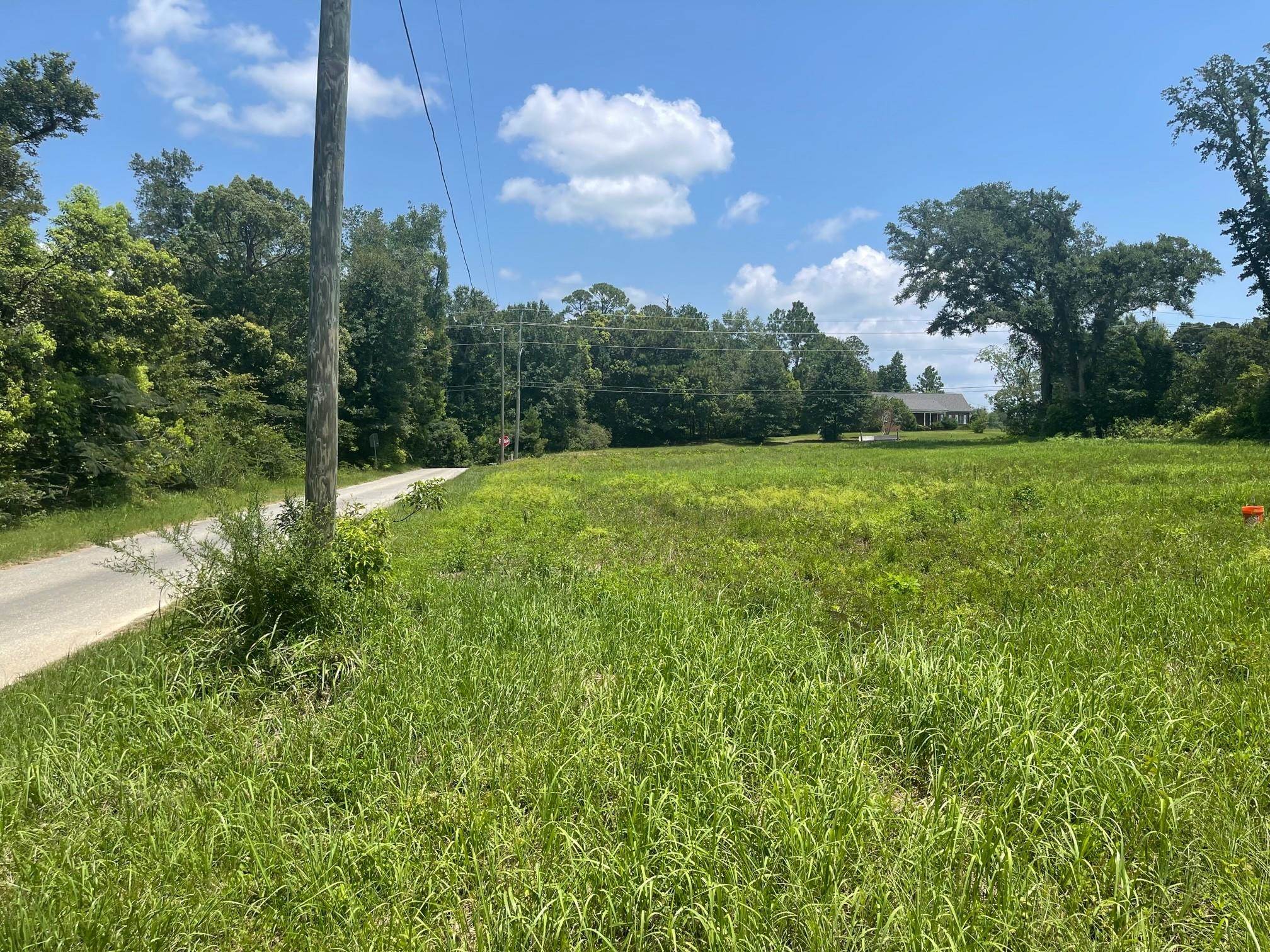 25636 Highway 98 Elberta, AL 36530 - Photo 4 of 24