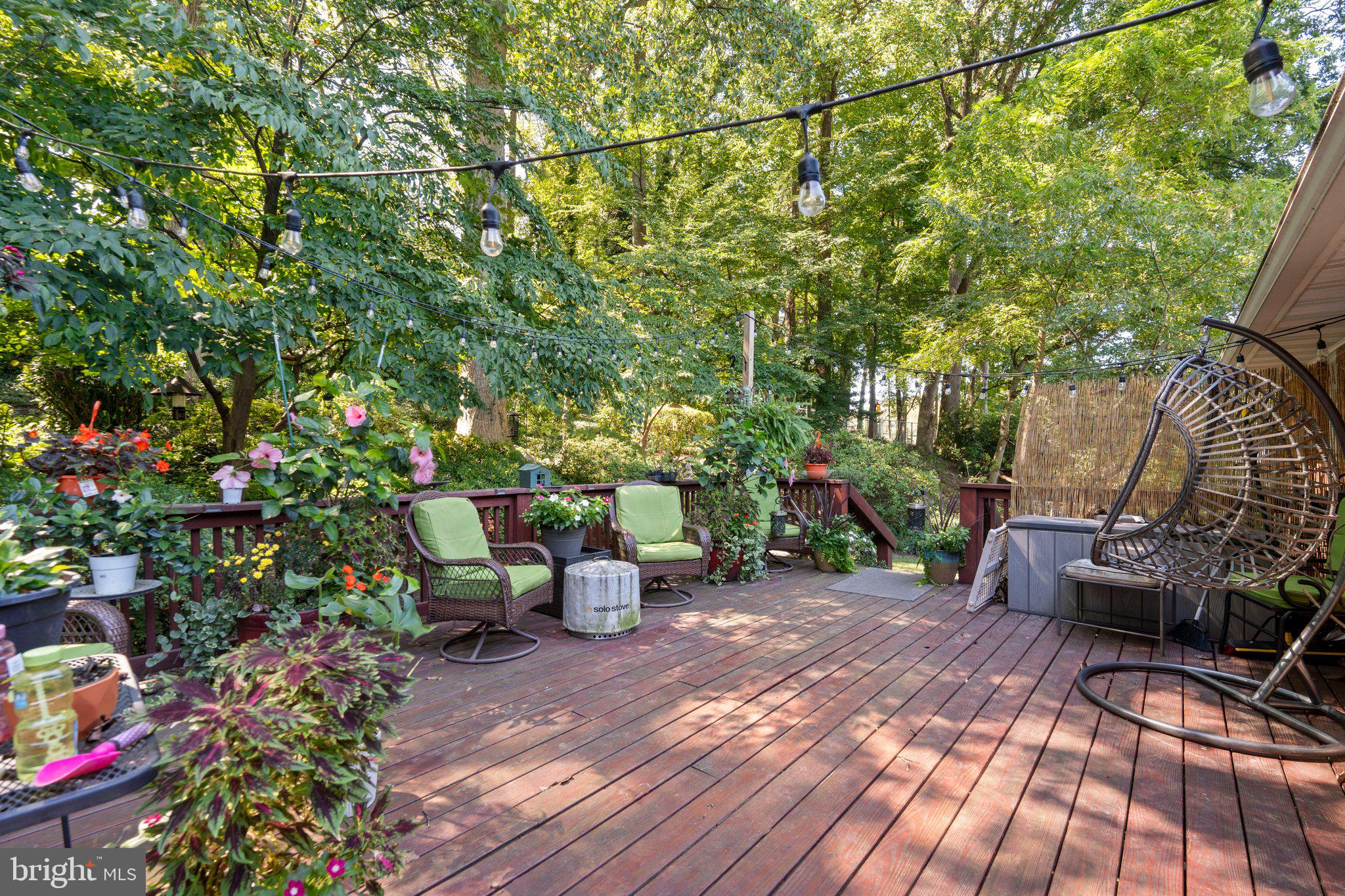 7533 Murillo Street Springfield, VA 22151 - Photo 29 of 46