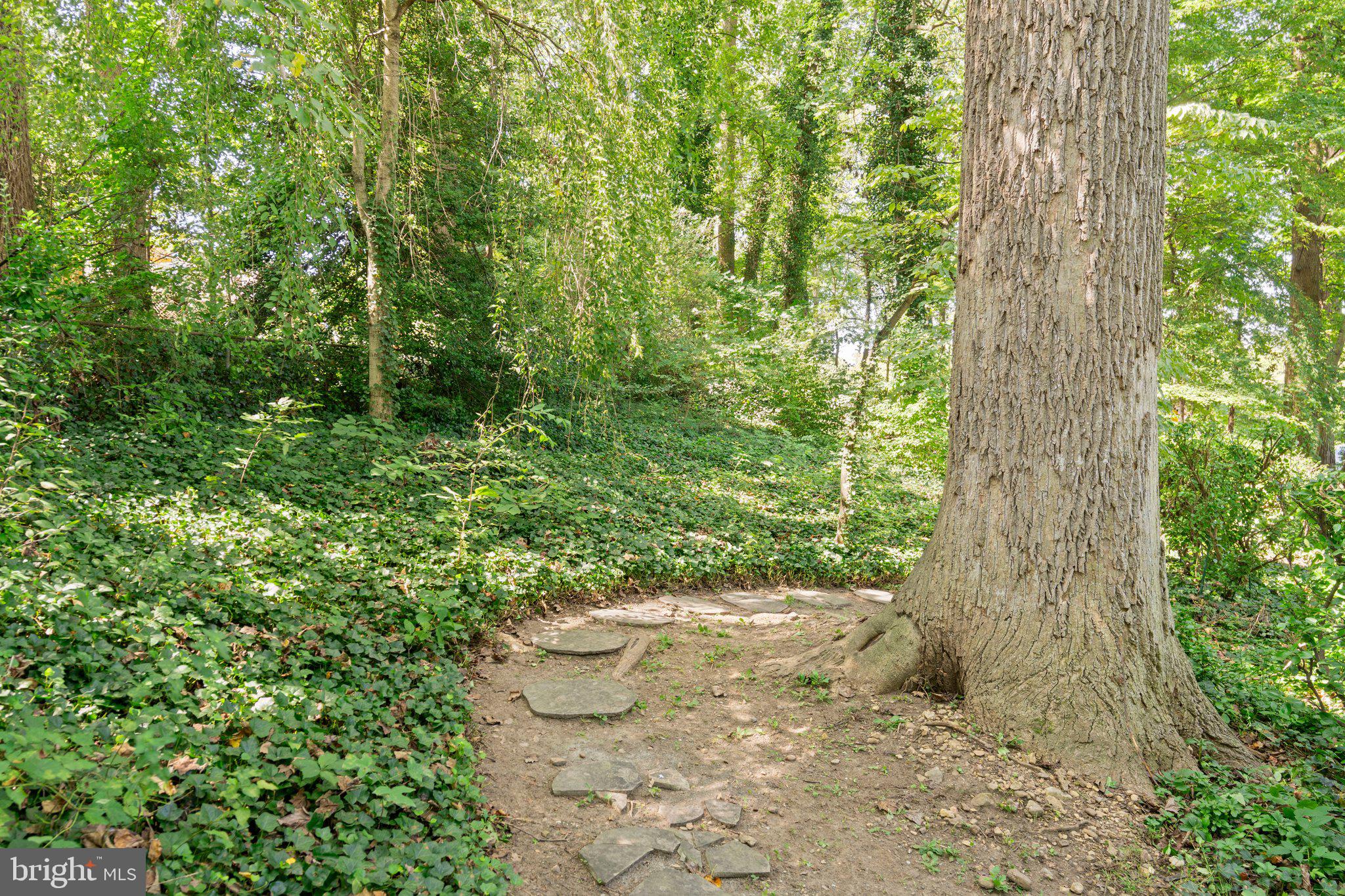 7533 Murillo Street Springfield, VA 22151 - Photo 38 of 46