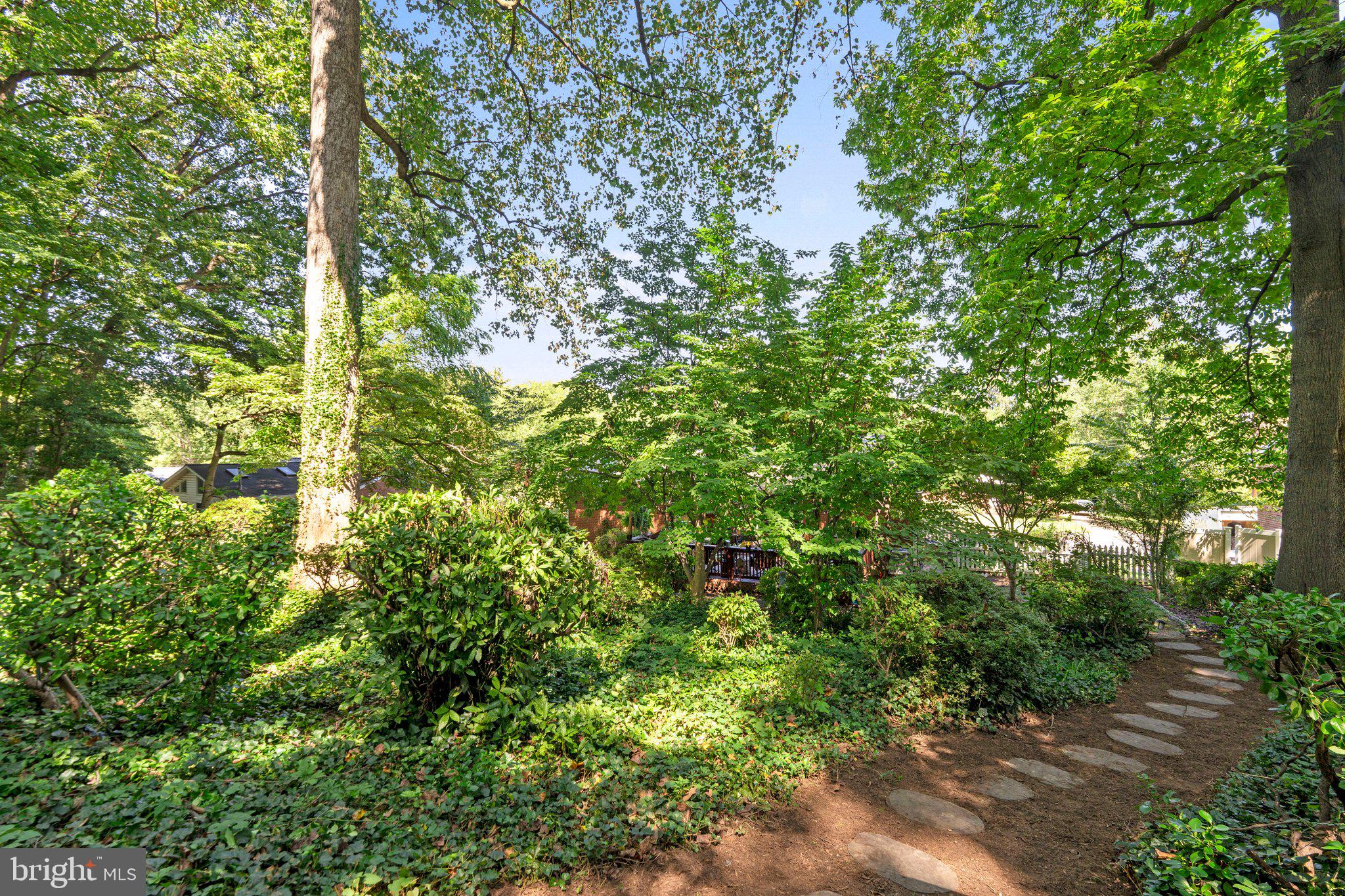 7533 Murillo Street Springfield, VA 22151 - Photo 39 of 46