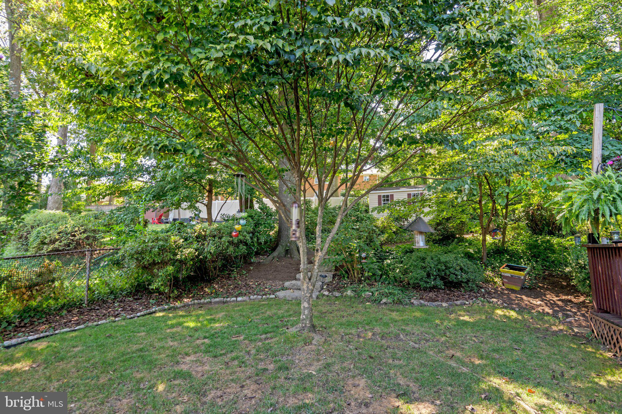 7533 Murillo Street Springfield, VA 22151 - Photo 42 of 46