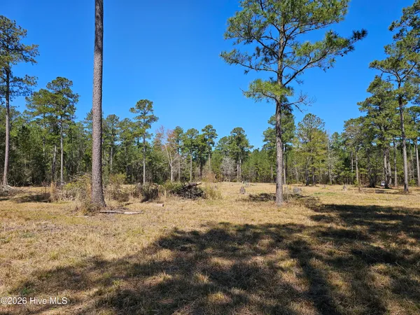 $50,000 | Lot 33 Bailey Pointe Drive, Belhaven, NC 27810
