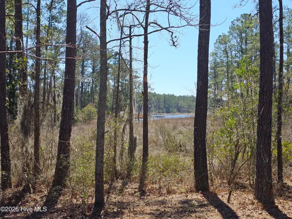 $50,000 | Lot 33 Bailey Pointe Drive, Belhaven, NC 27810