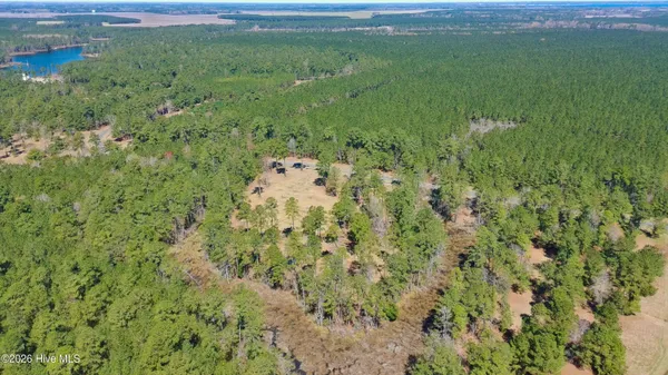 $50,000 | Lot 33 Bailey Pointe Drive, Belhaven, NC 27810