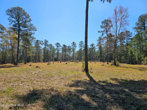 $50,000 | Lot 33 Bailey Pointe Drive, Belhaven, NC 27810