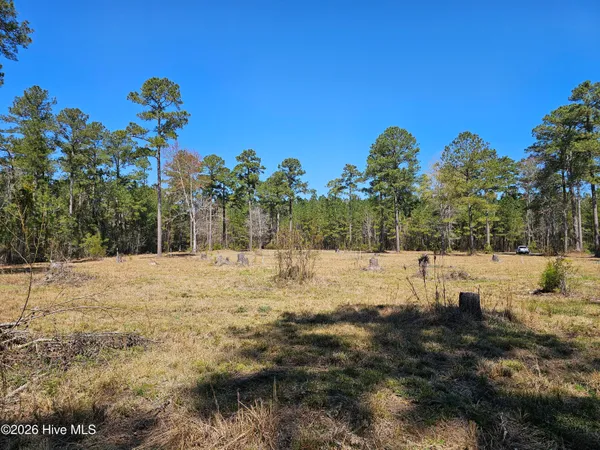 $50,000 | Lot 33 Bailey Pointe Drive, Belhaven, NC 27810