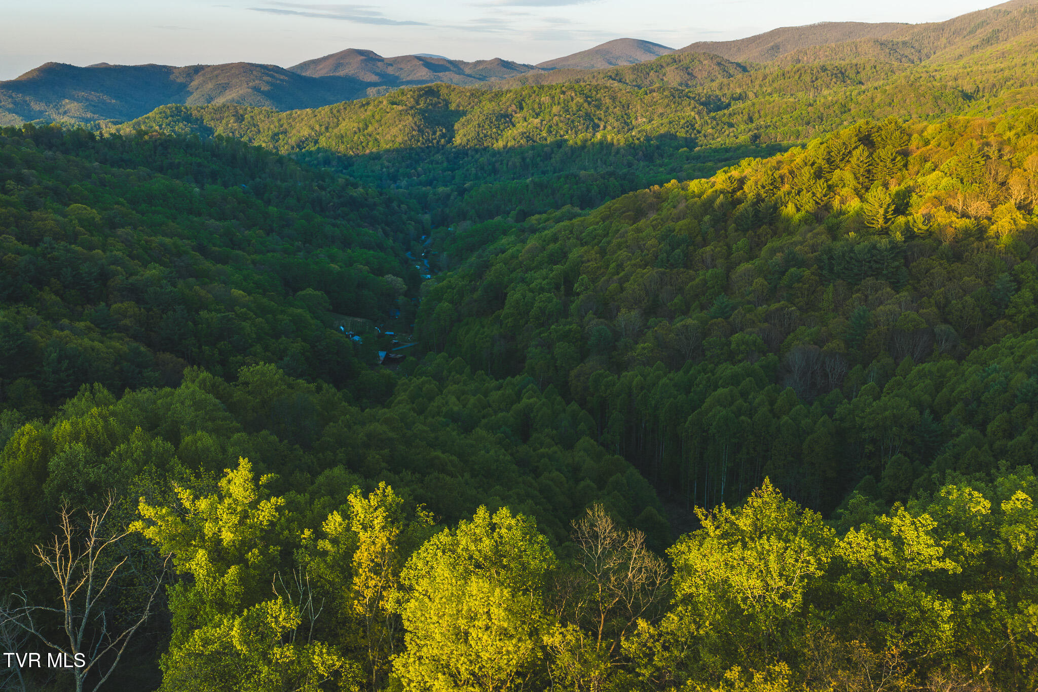 Tbd Cole Road Flag Pond, TN 37657 - Photo 1 of 17 DJI_20260422195111_0680_D