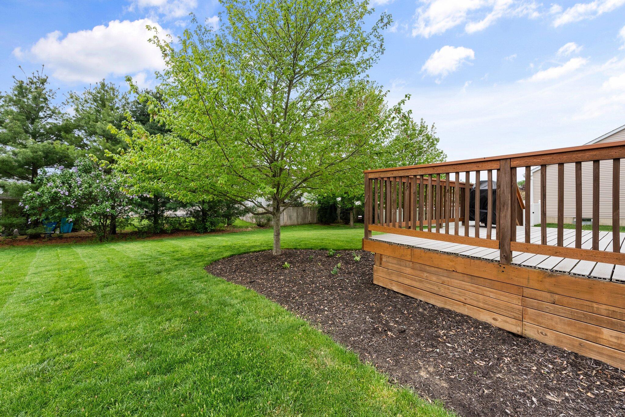 178 Stockard Loop Delaware, OH 43015 - Photo 37 of 44 Rear Yard