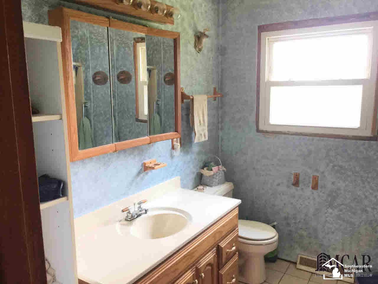 3765 Luna Road Erie, MI 48133 - Photo 6 of 9 Bathroom