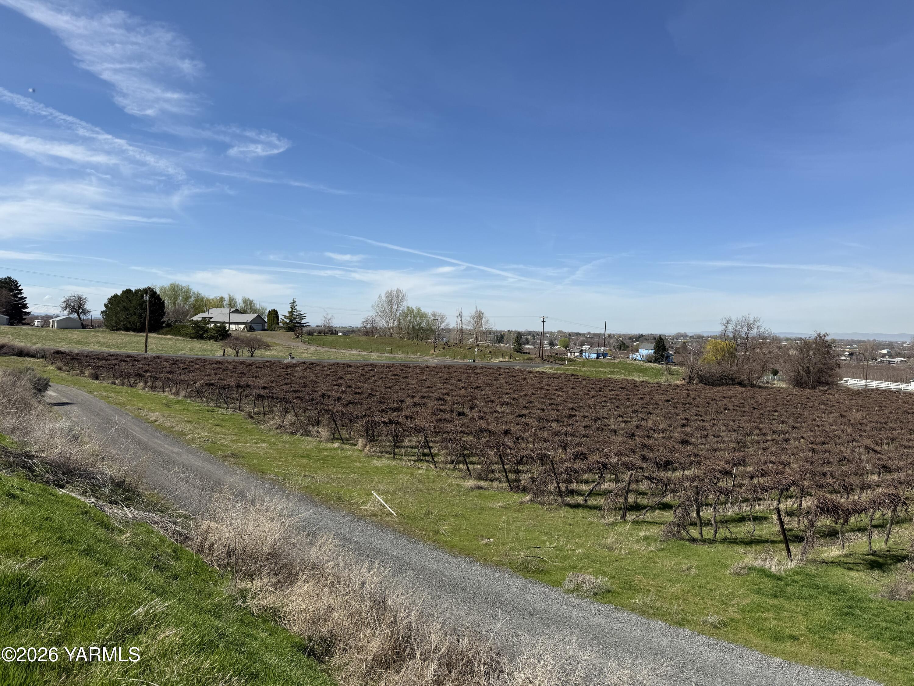 Tbd Richards Road Prosser, WA 99350 - Photo 16 of 26 IMG_8286