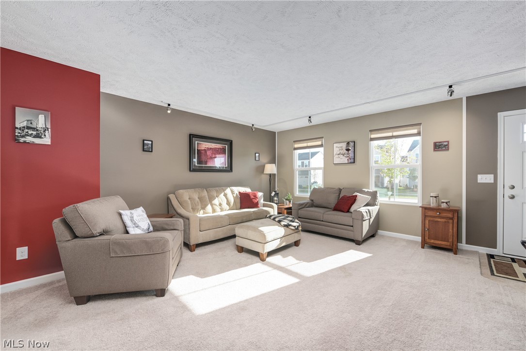 147 Springvale Drive Amherst, OH 44001 - Photo 4 of 19
