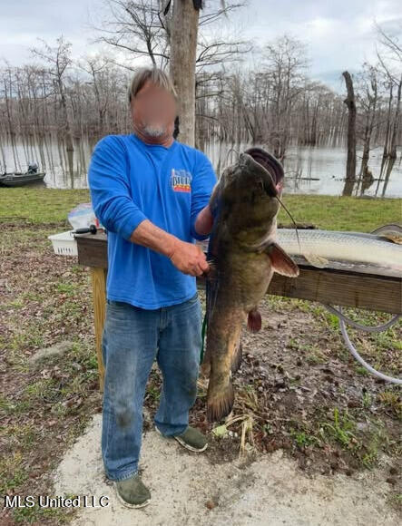 1743 The Rocks Road Woodville, MS 39669 - Photo 4 of 16 5362e0db-5cf5-4fde-a900-1279dda67fb7