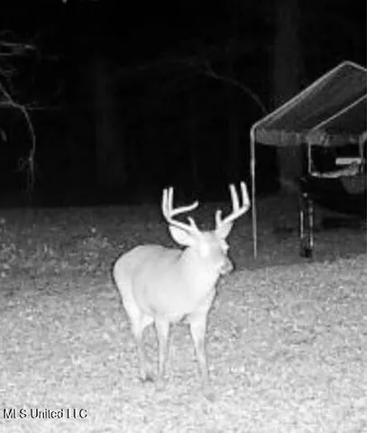 $135,000 | 1743 The Rocks Road, Woodville, MS 39669