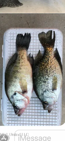 $135,000 | 1743 The Rocks Road, Woodville, MS 39669