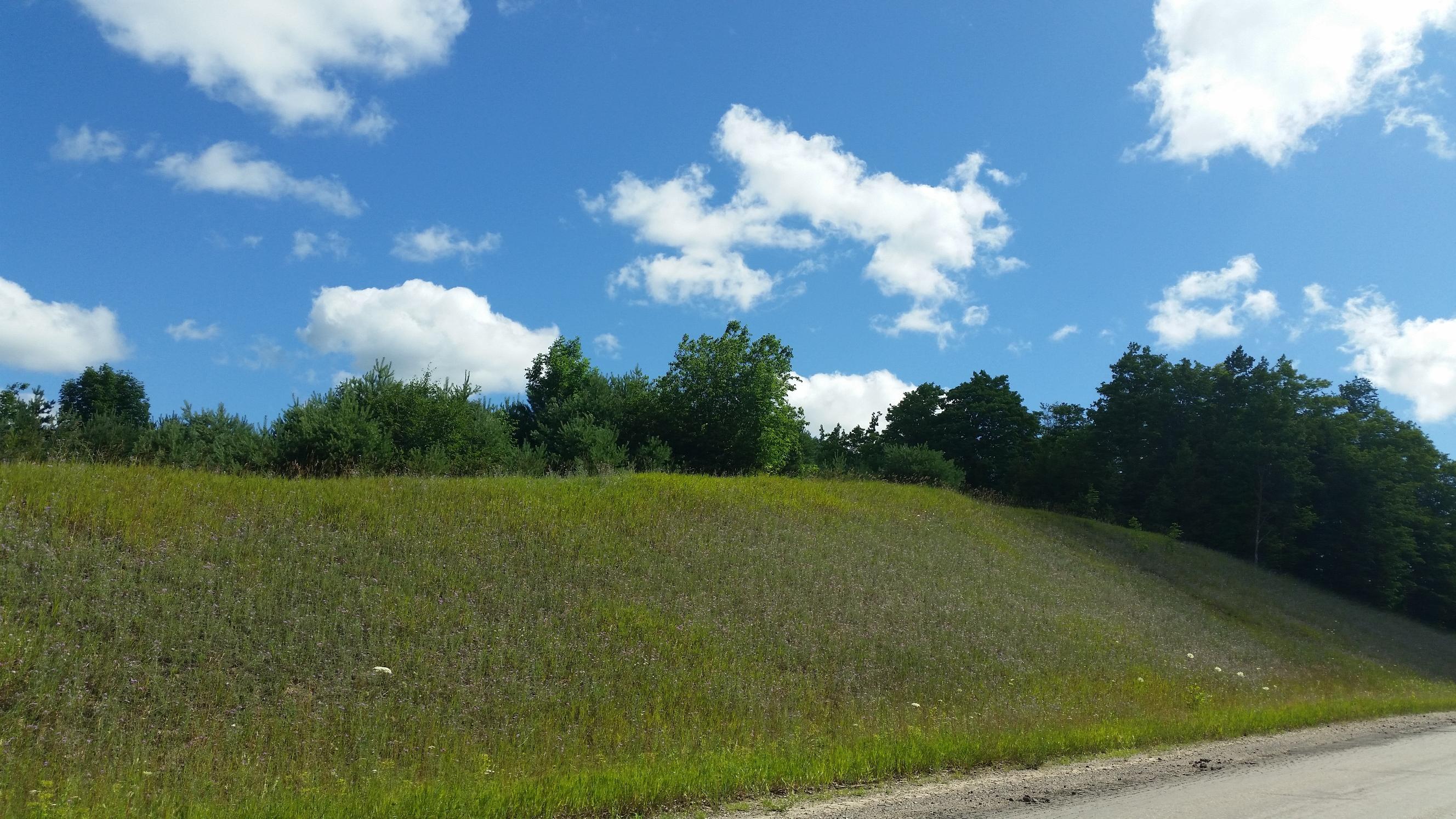 0 Rondo Road Wolverine, MI 49799 - Photo 28 of 41 Gallery Image 28
