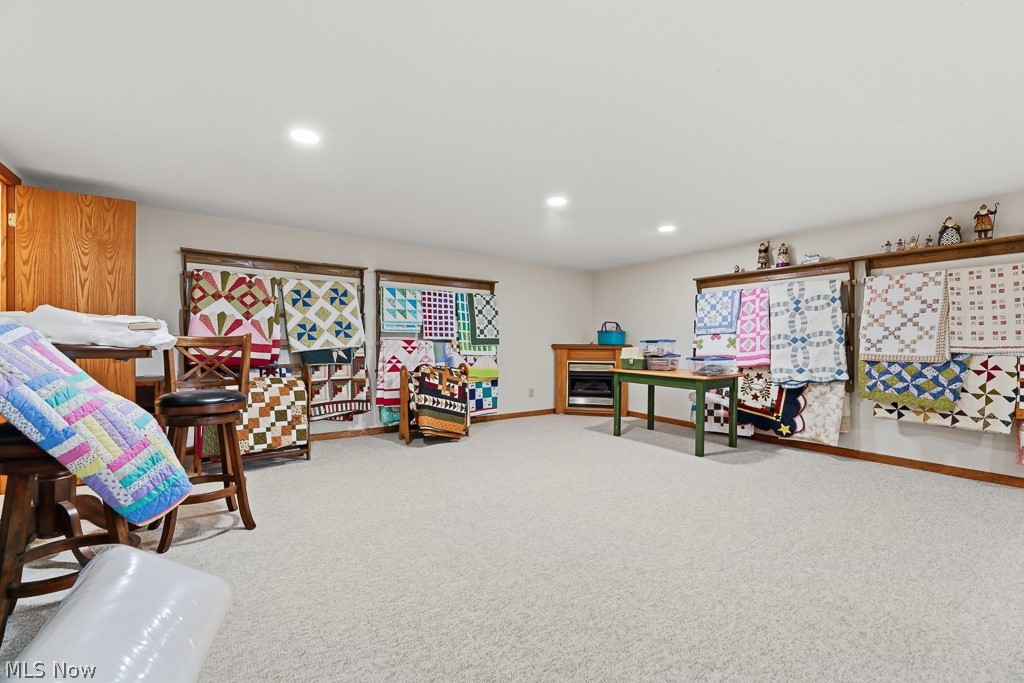 10240 Manor Road Northeast Minerva, OH 44657 - Photo 44 of 48 Gallery Image 44