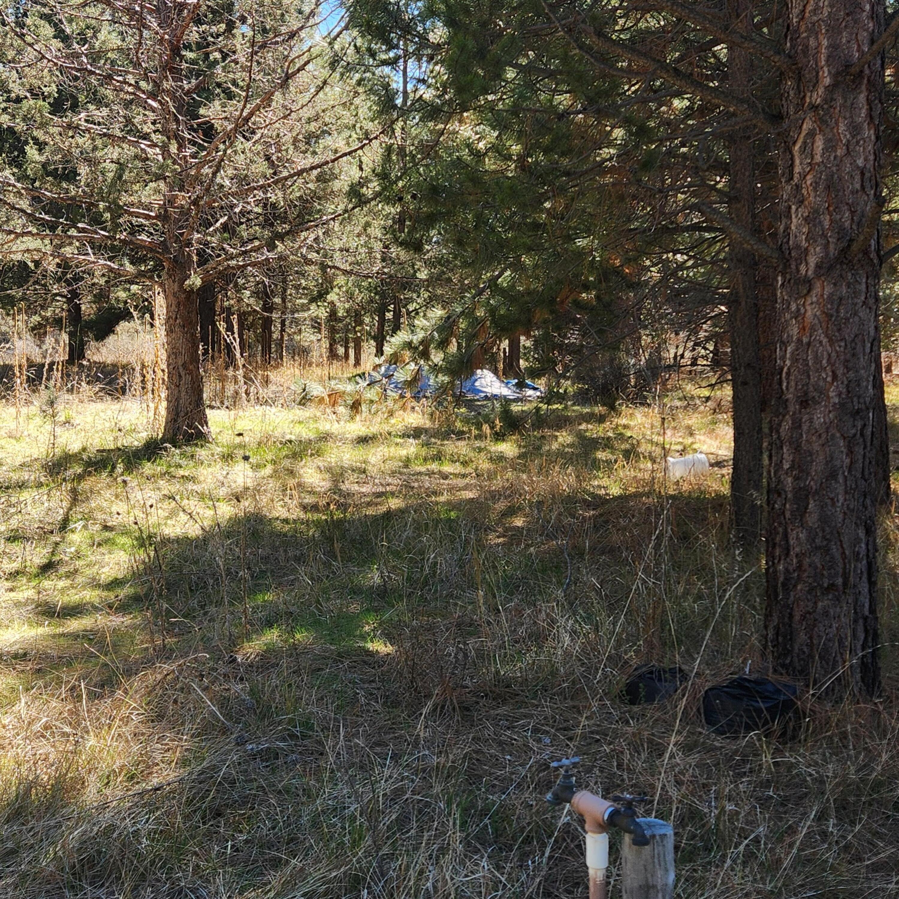 Moccasin Lane Chiloquin, OR 97624 - Photo 9 of 21 a view of a yard with wooden fence