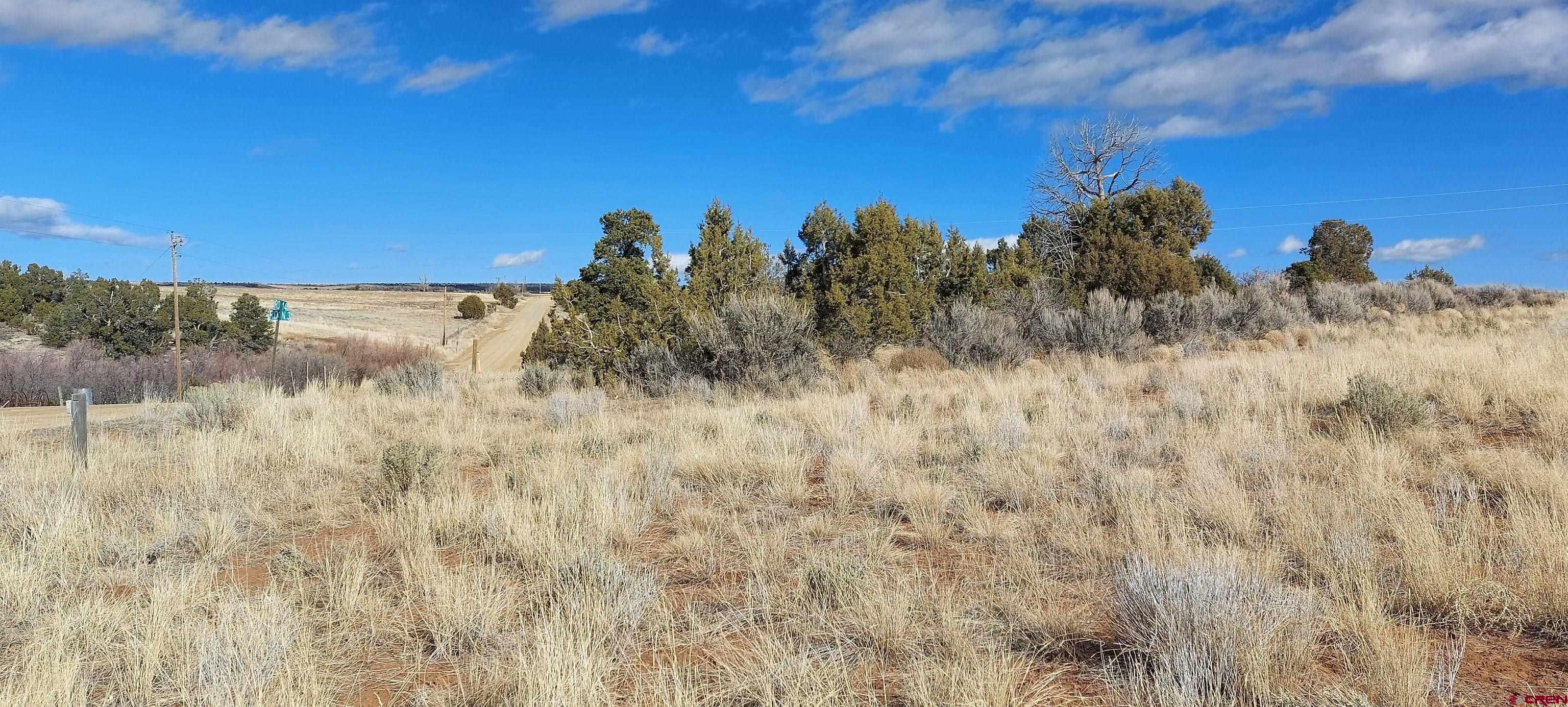 14134 Road N 3 Road Cahone, CO 81320 - Photo 5 of 13