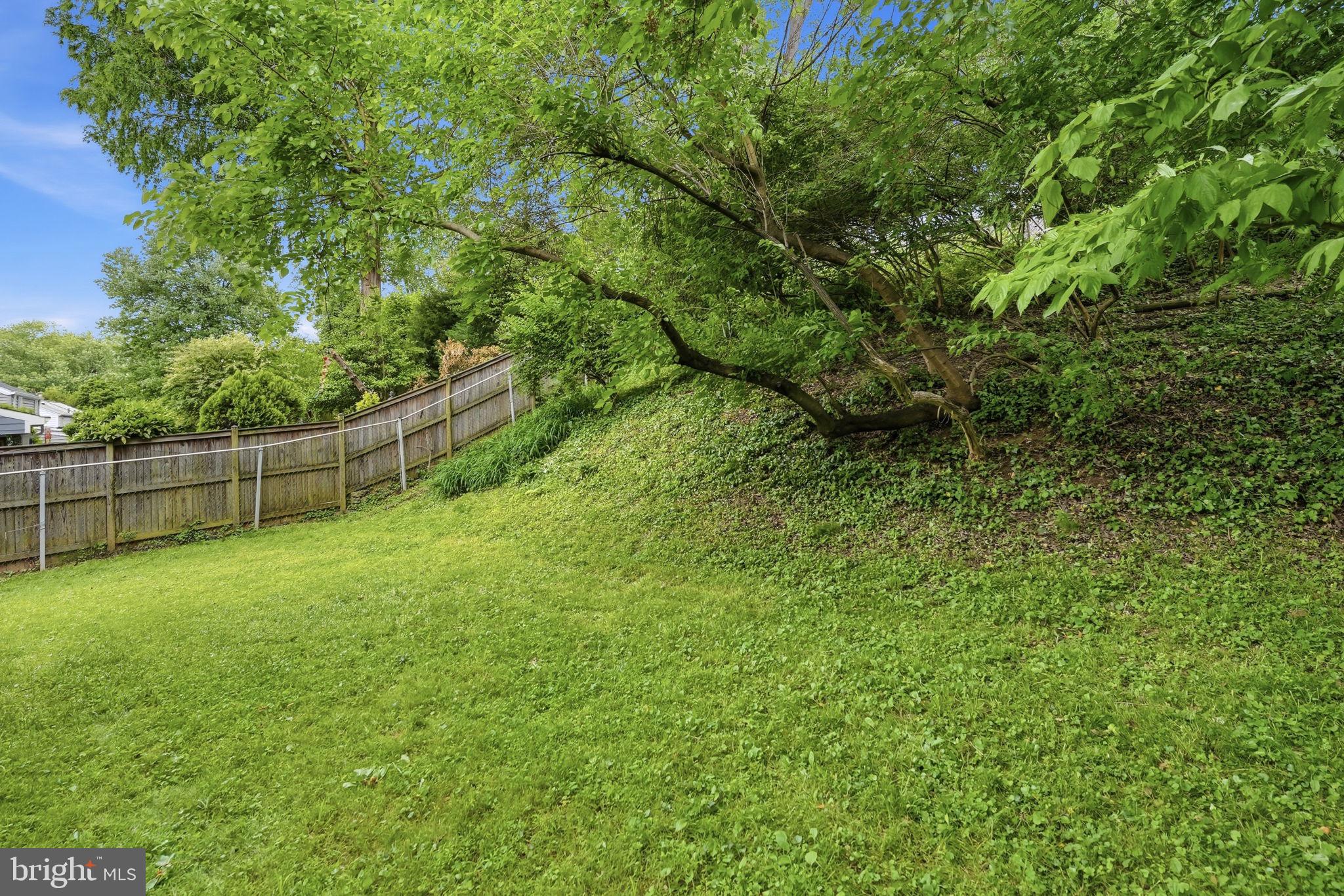 5948 10th Road North Arlington, VA 22205 - Photo 28 of 34