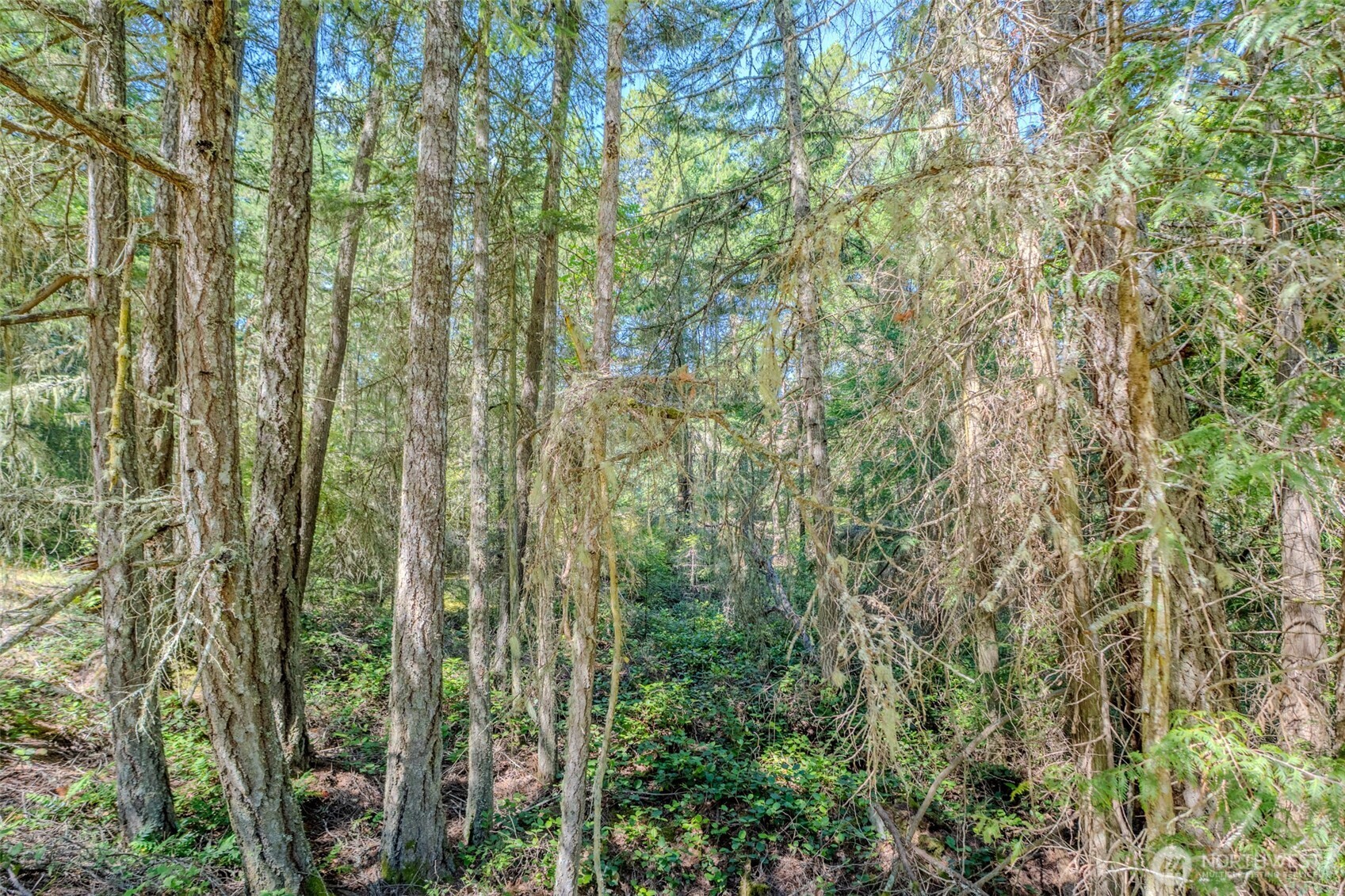 678 Swan Road Orcas Island, WA 98245 - Photo 17 of 39