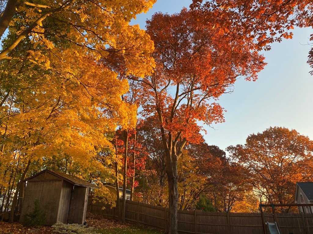 4 Abernathy Way Marblehead, MA 01945 - Photo 28 of 28 a view of a house with a tree