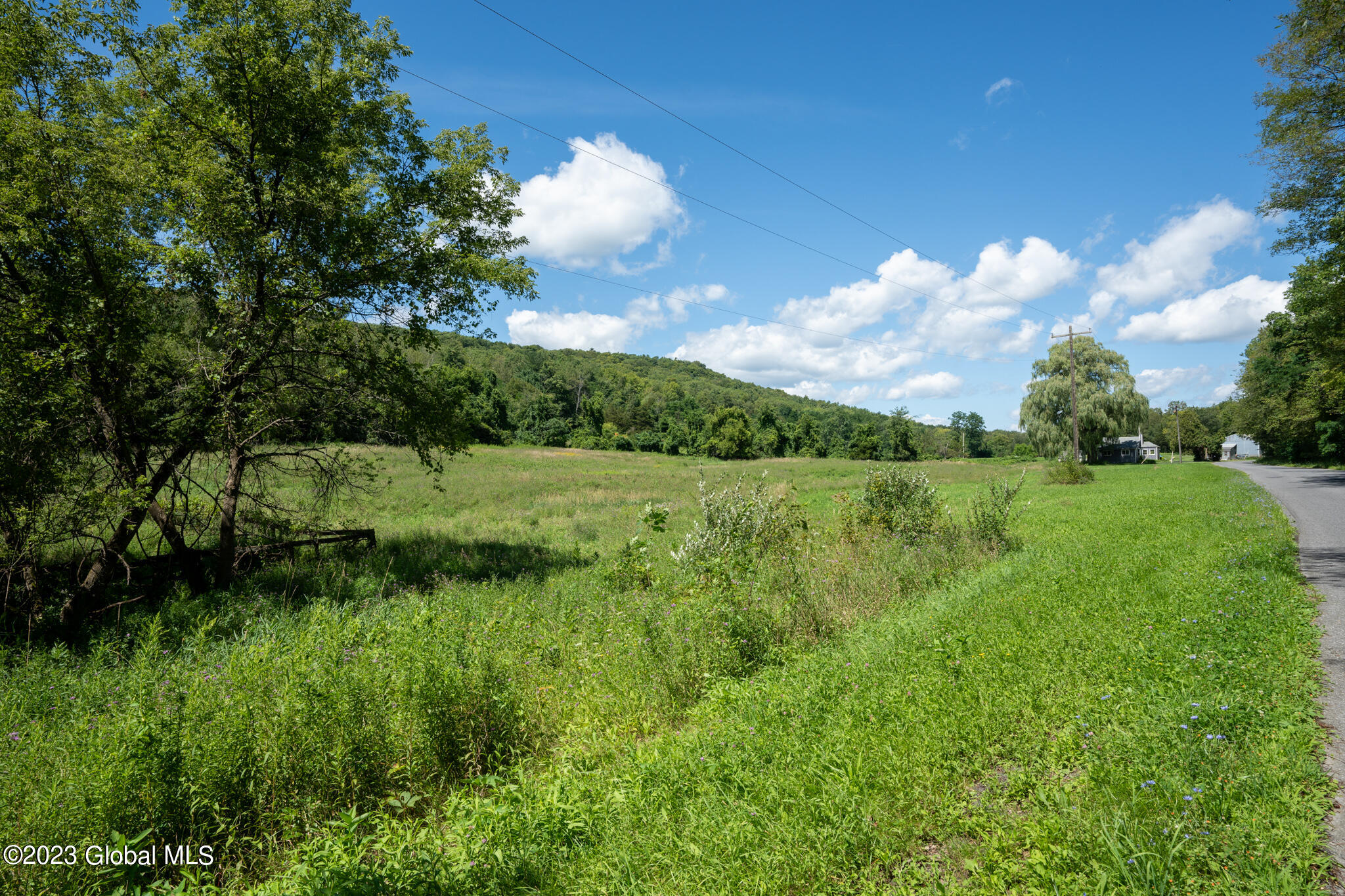 L42 Payne Road Ravena, NY 12143 - Photo 4 of 4 004-89-Payne-Rd-EXTERIOR