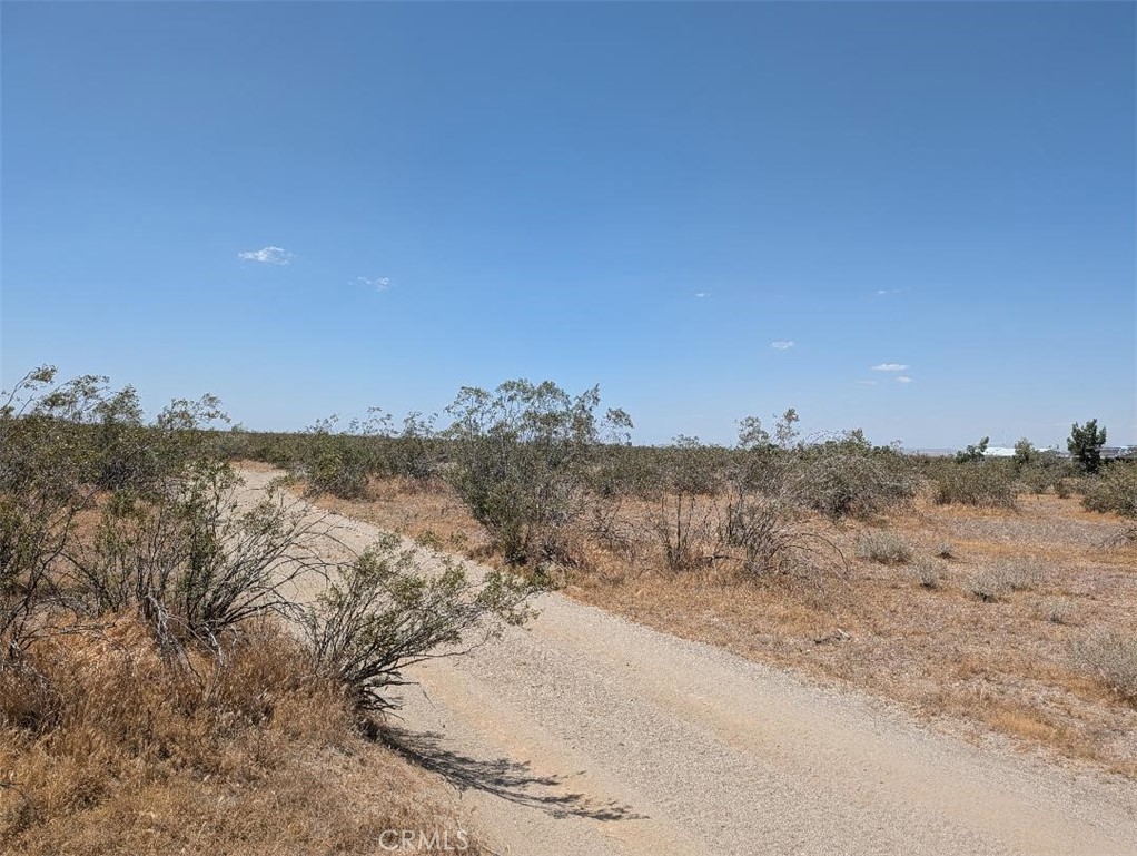 7 Dos Palmas Road Phelan, CA 92371 - Photo 4 of 6 a view of a dry yard with mountains in the background