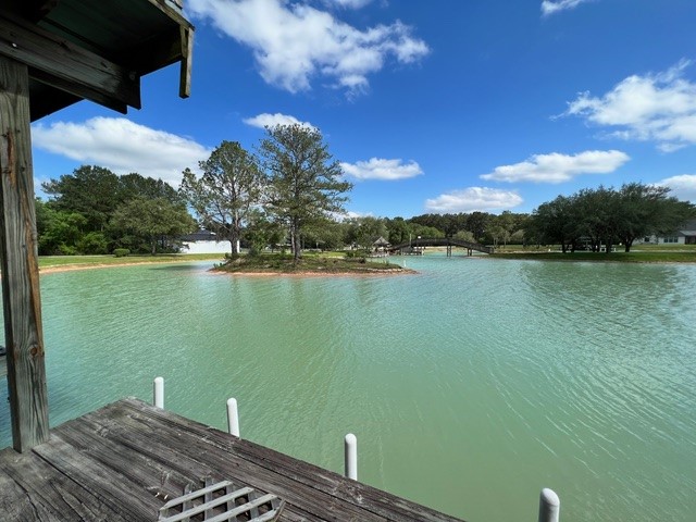 17521 Rose Down Circle Cypress, TX 77429 - Photo 1 of 16 a view of a lake from a balcony