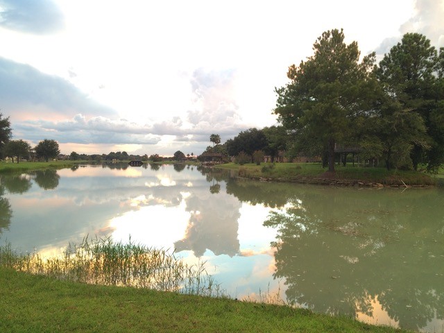 17521 Rose Down Circle Cypress, TX 77429 - Photo 12 of 16 a view of lake with green space