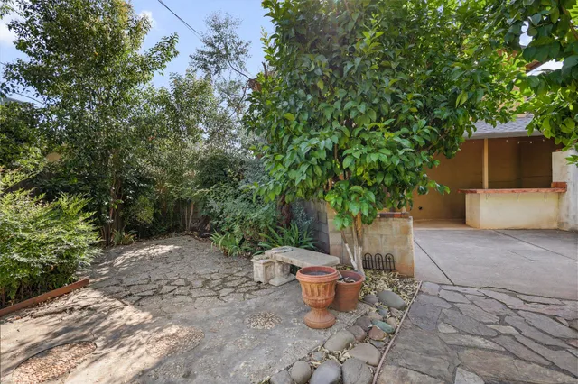 a view of a backyard with garden and plants