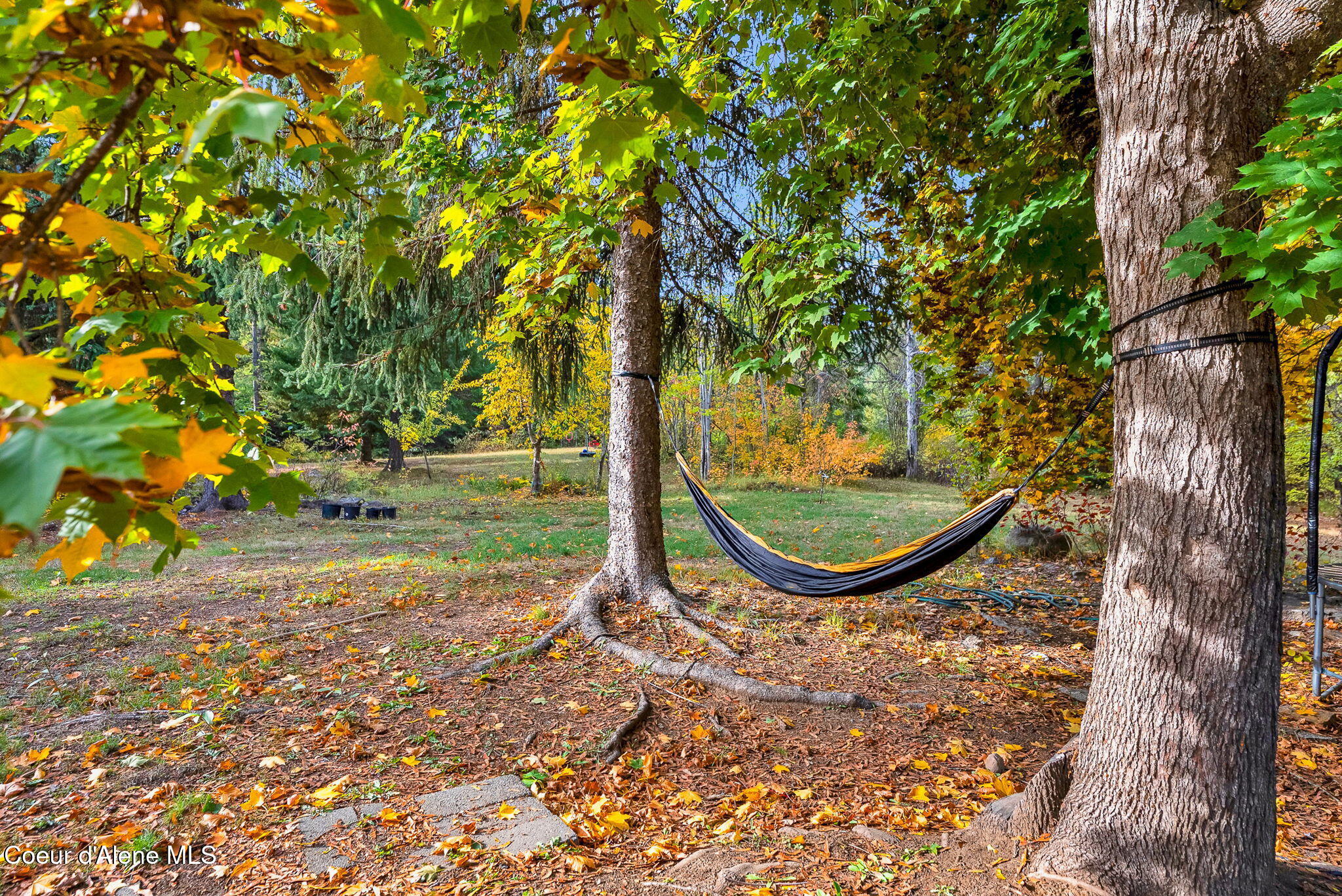 5077 West Nursery Lane Rathdrum, ID 83858 - Photo 57 of 80 Backyard
