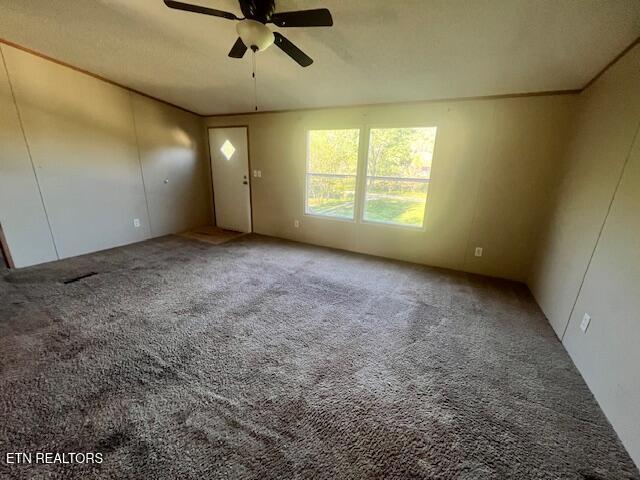 155 Carey Road Speedwell, TN 37870 - Photo 10 of 10 IMG_1064